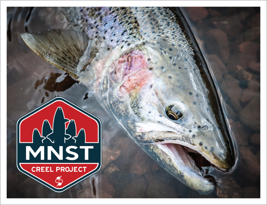 Minnesota Steelheader – Discover. Learn. Fish.