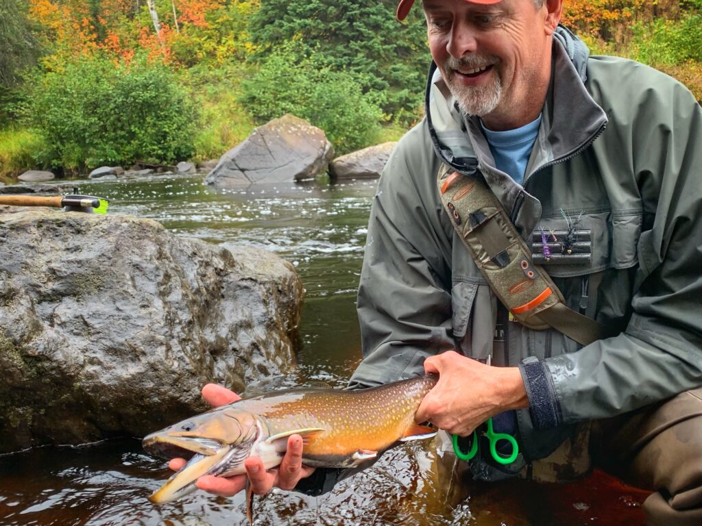 Steelhead – Minnesota Steelheader